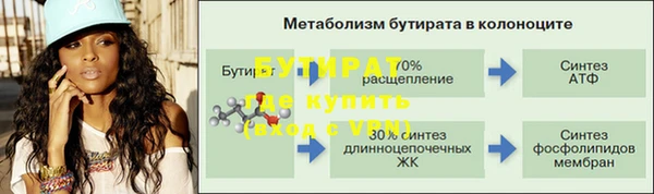 PSILOCYBIN Горно-Алтайск