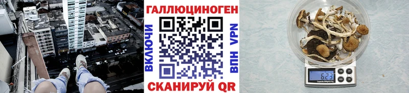 Галлюциногенные грибы Psilocybe  Шумиха 